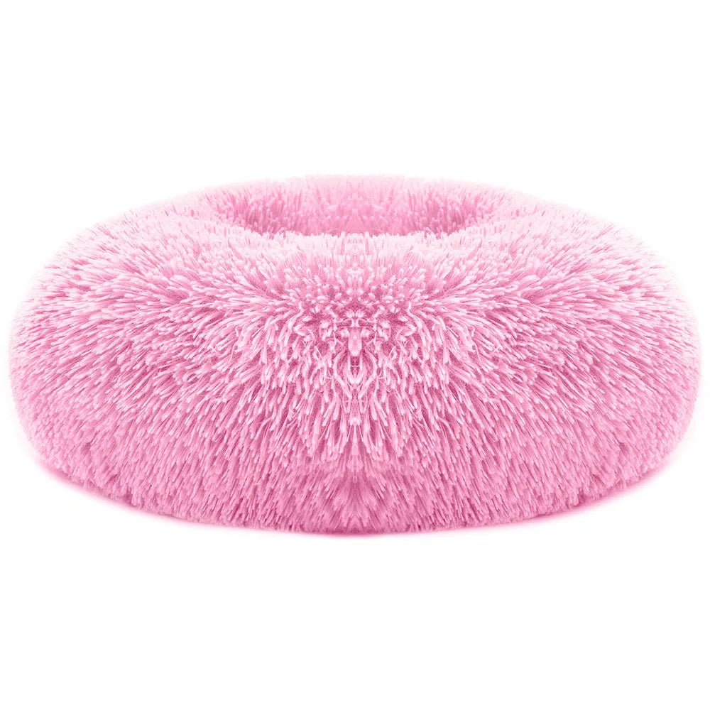 Cozy Nest Sofa Bed