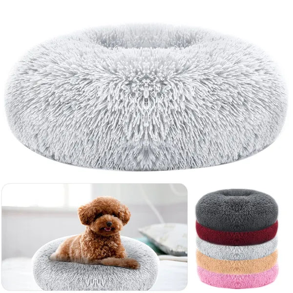 Cozy Nest Sofa Bed