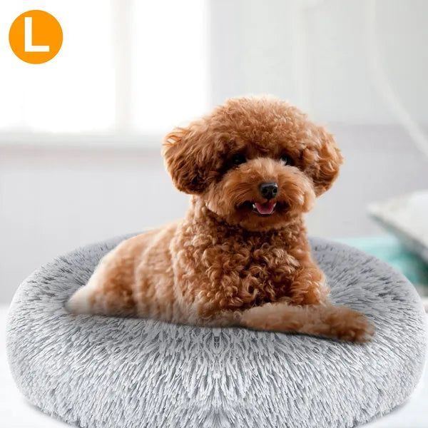Cozy Nest Sofa Bed