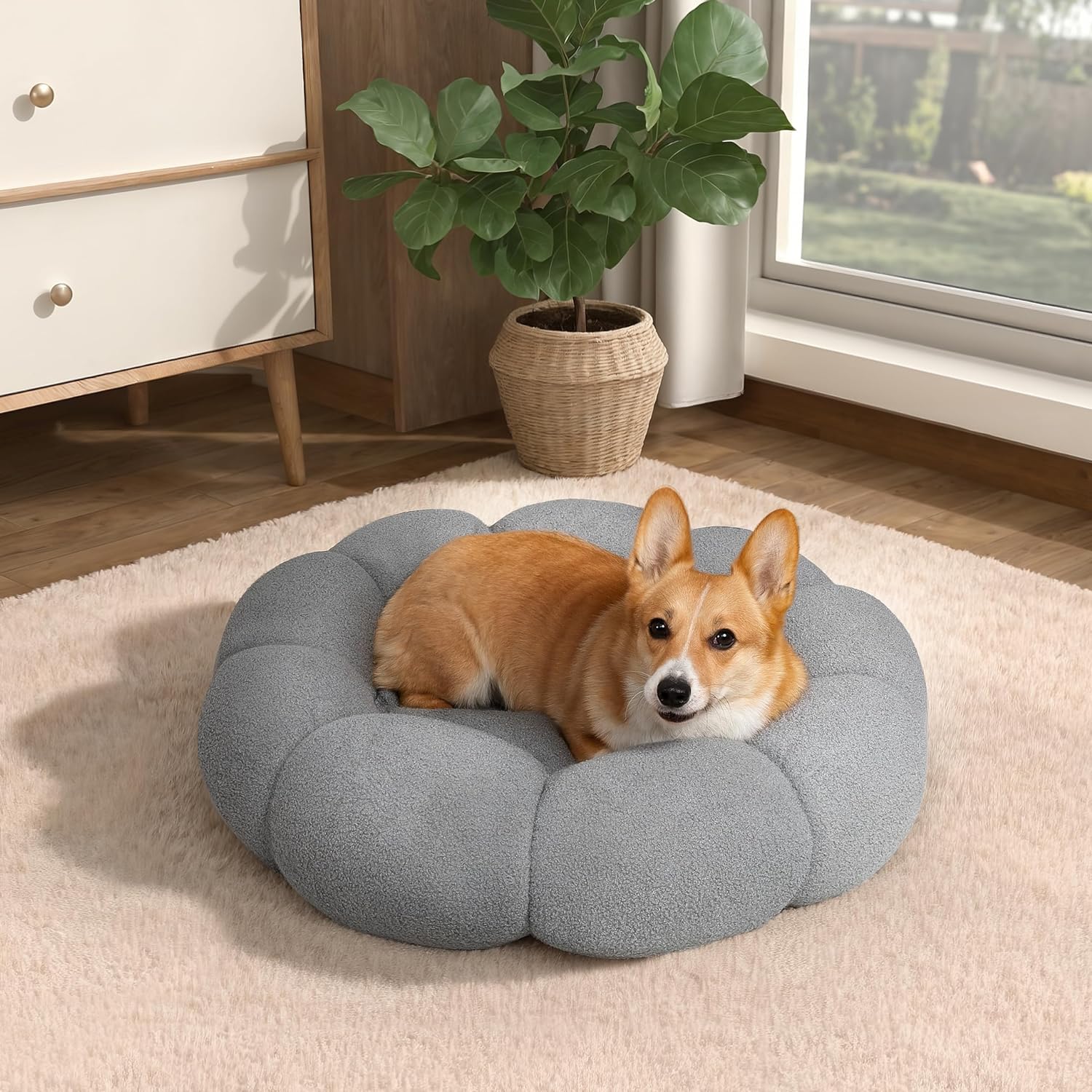 Cozy Kitty Dream Bed