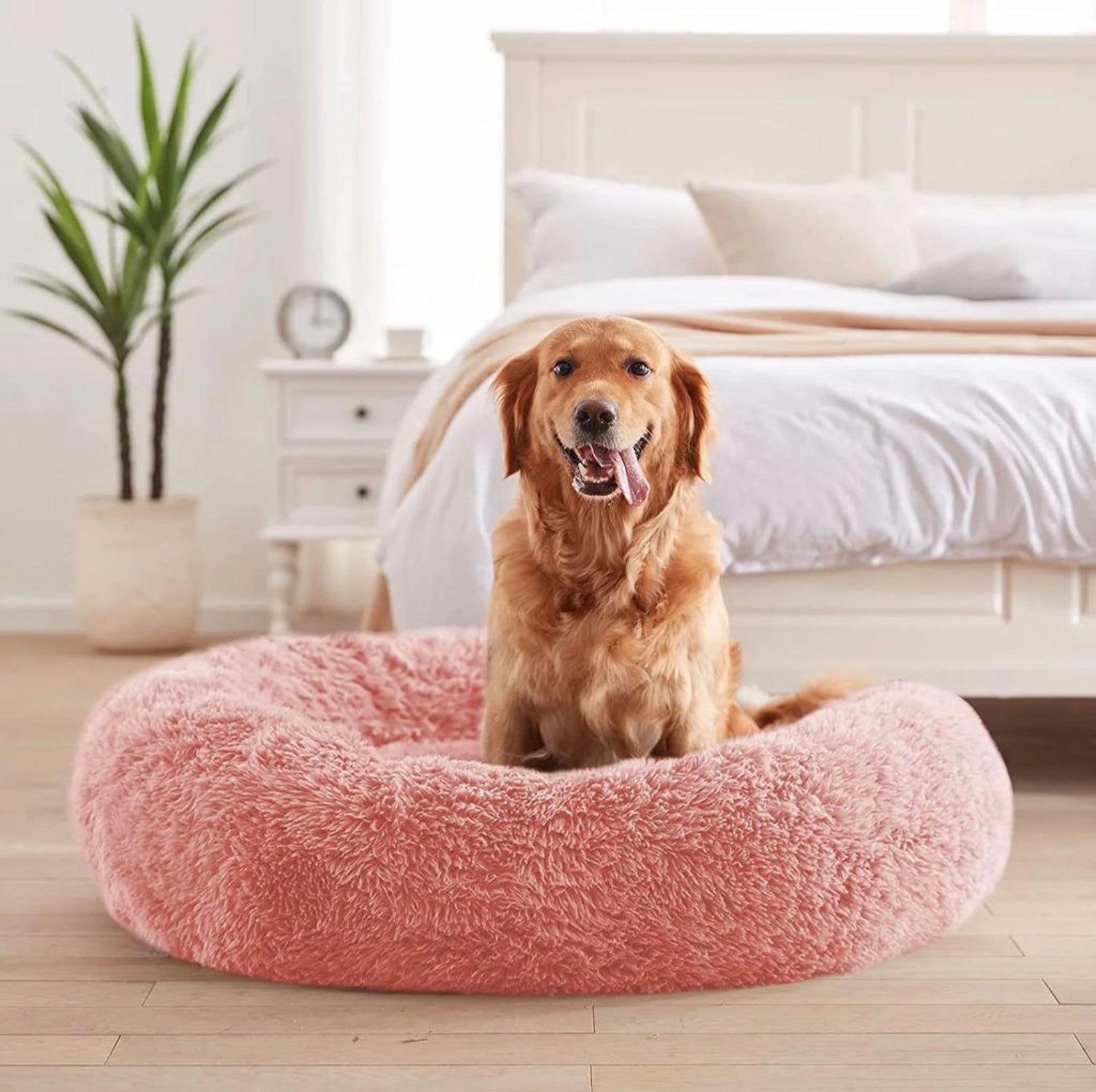 Calming Dog Bed - Anti-Anxiety Comfort for Better Sleep