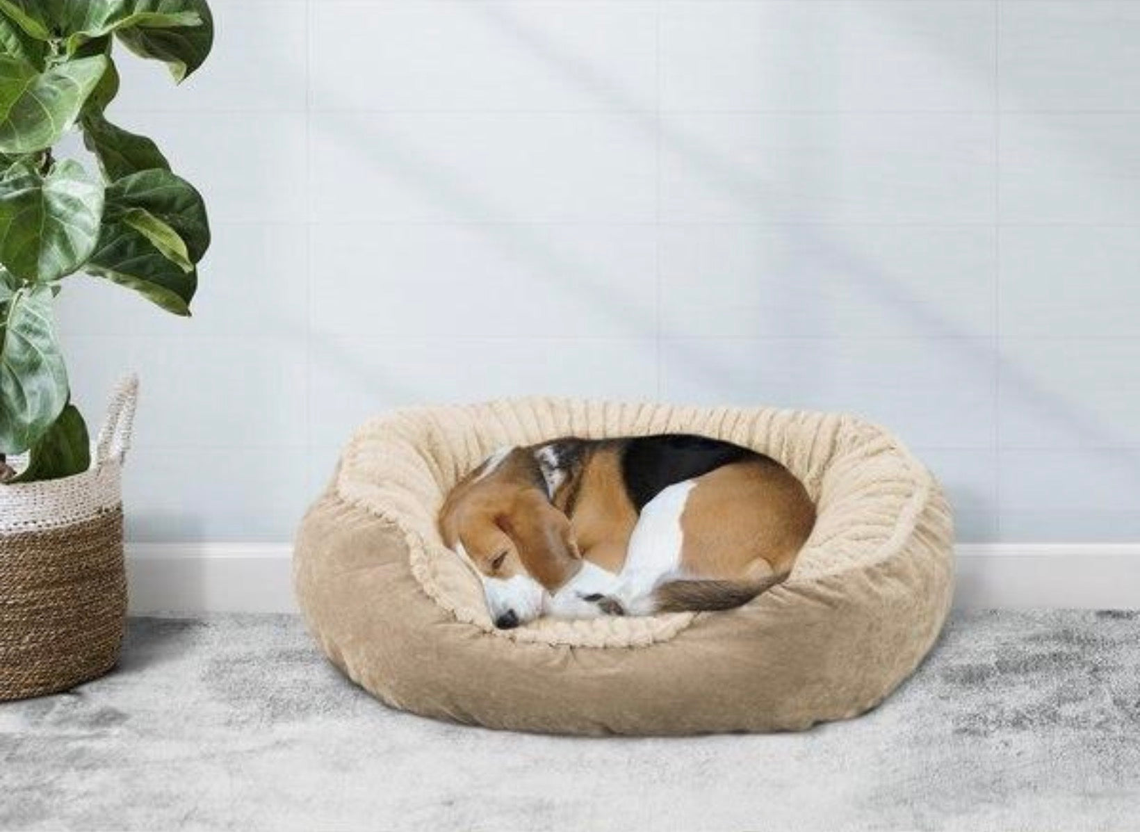 Calming Dog Bed - Anti-Anxiety Comfort for Better Sleep