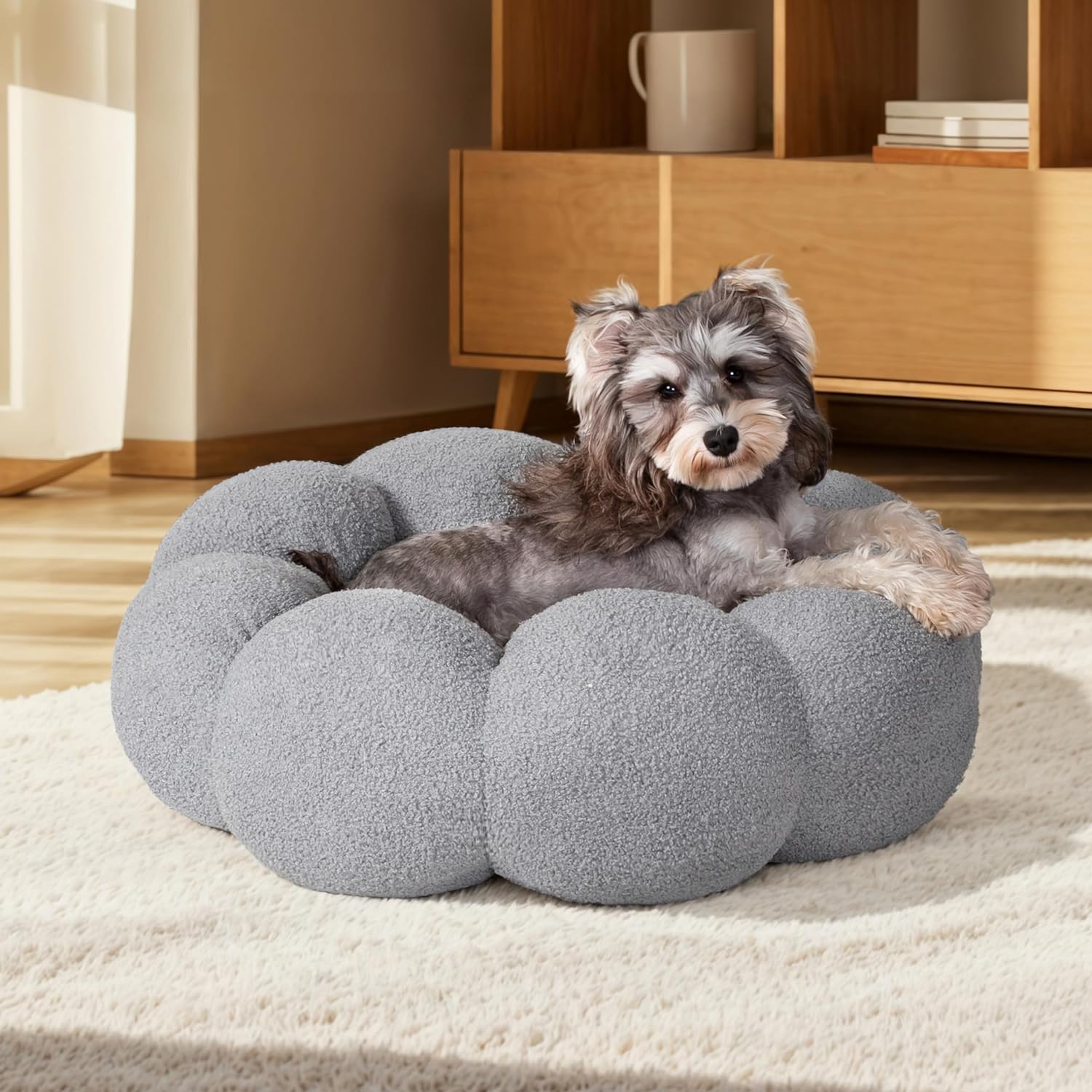 Cozy Kitty Dream Bed