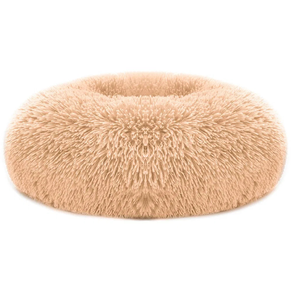 Cozy Nest Sofa Bed